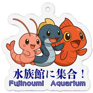 集合キーホルダー