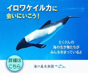 海の森水族館