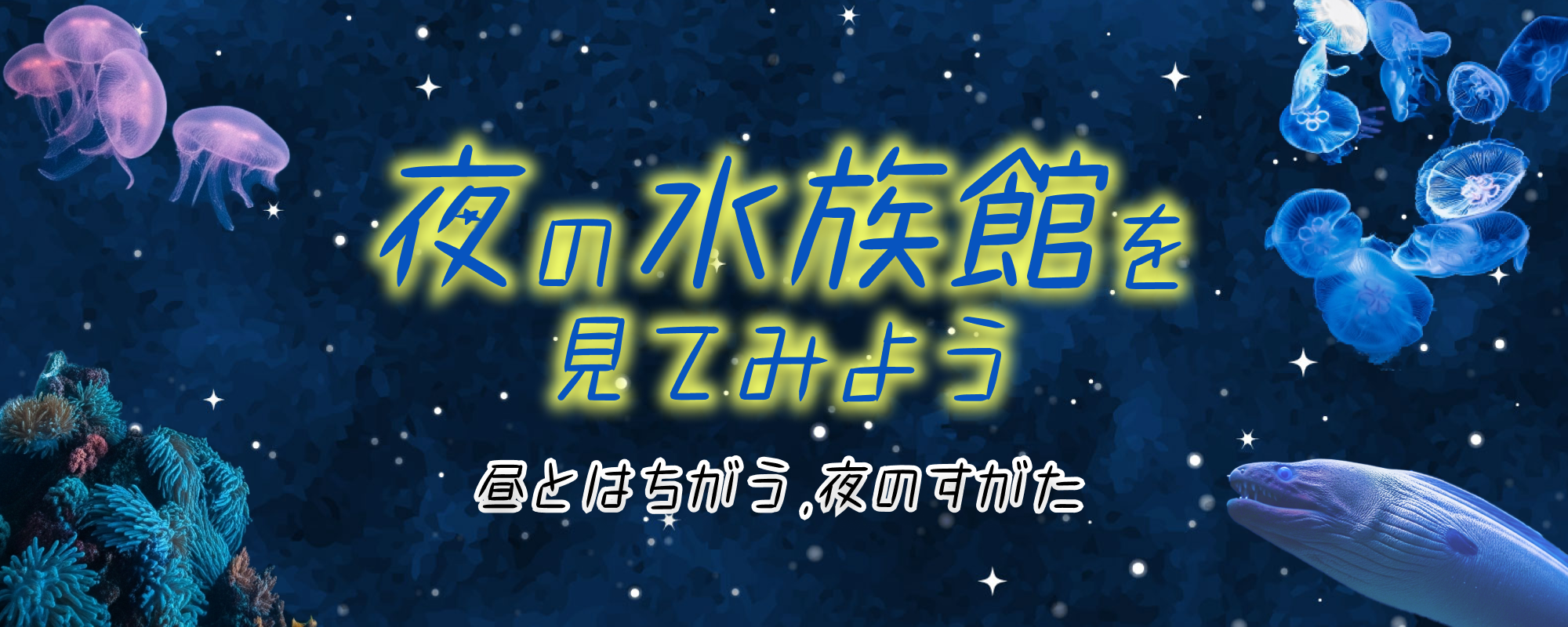 夜の水族館を見てみよう